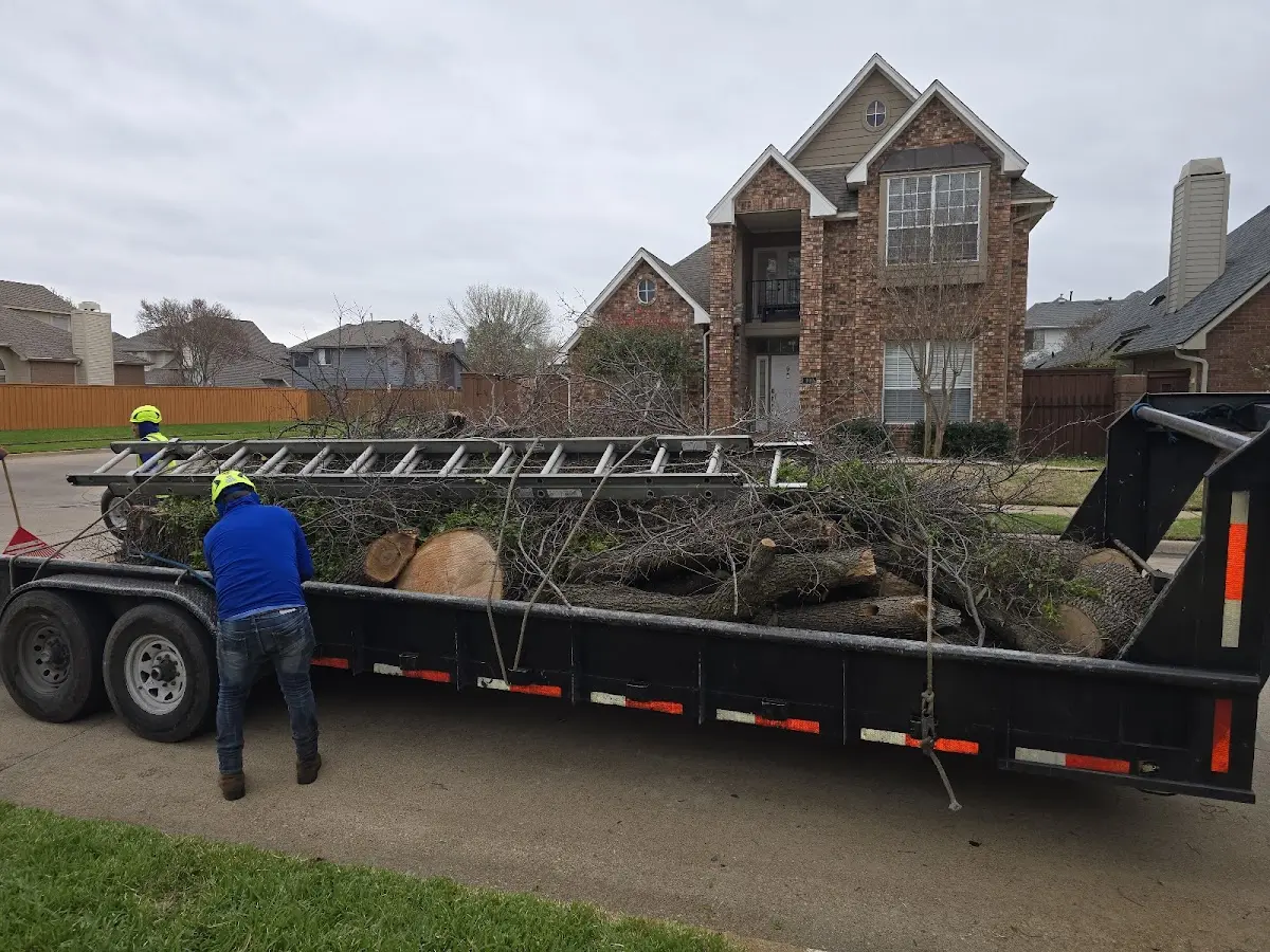 Expert Tree Fertilization with proper safety equipment in Grapevine